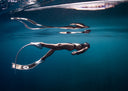 The Four Capitals Of Freediving