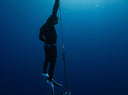 The Difference Between Freediving Courses And Training
