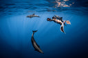 The Environmental Module At Our Freediving Center