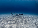 The Most Overlooked Nutrient In Freediving