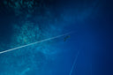 Why Most Freediving Trips Don’t Lead To Real Progress